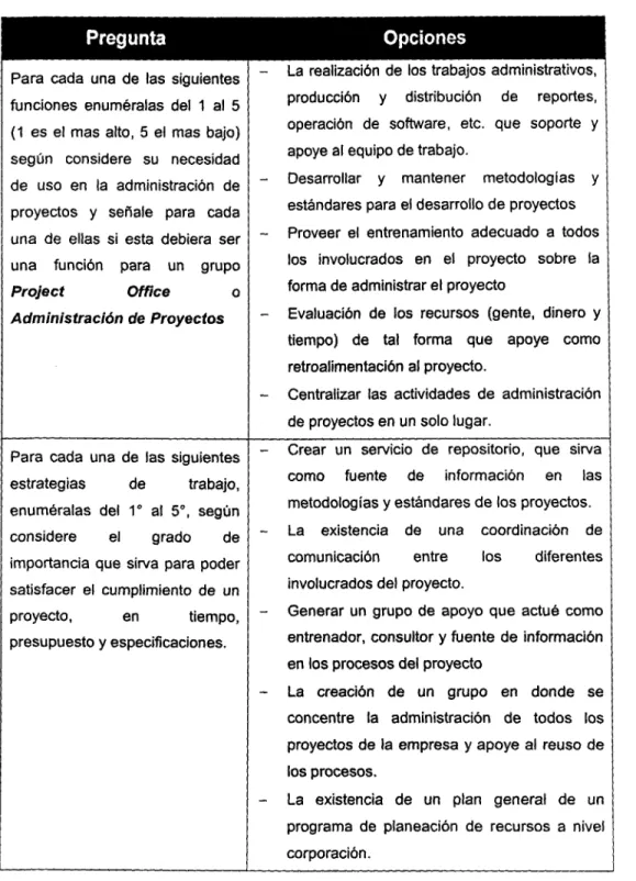Tabla 3.8. Preguntas de los aspectos importantes del project office.