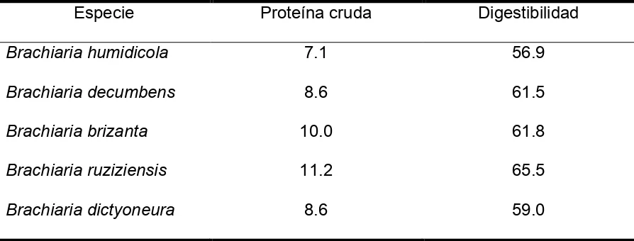Cuadro 3. Contenido de proteína y digestibilidad de la materia seca de 