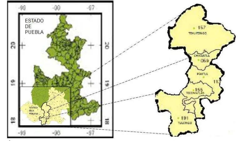 Figura. 1. Área de trabajo y ubicación de los municipios estudiados, en el estado de Puebla