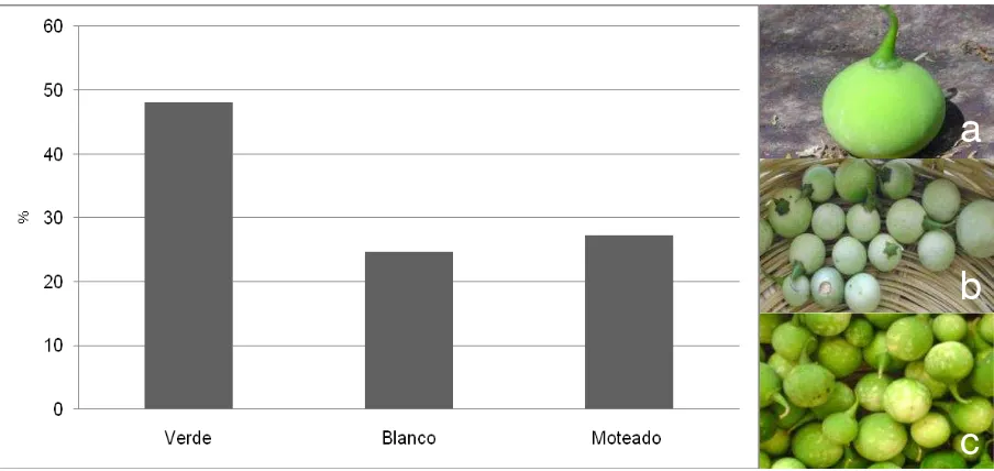 Figura 2. Tipos de cuatomate y proporciones en las que los mencionan los productores de la Mixteca Baja Poblana: a) verde, b) blanco y,  c) moteado