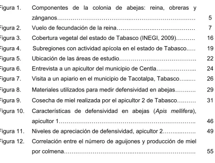 Figura 1. 