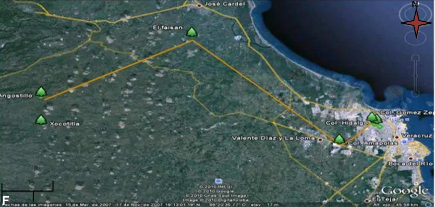 Figura 3. Imagen satelital de la colonia Miguel Hidalgo y Costilla (E) del 