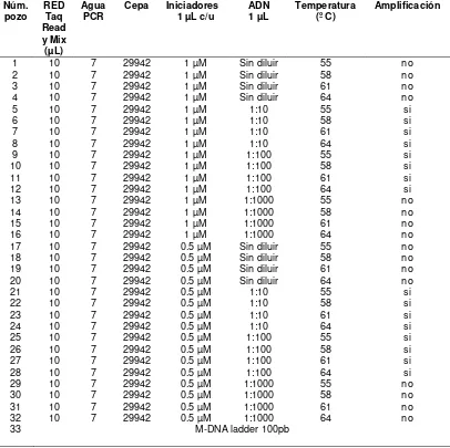 Cuadro 2.  Determinación de  la temperatura y la concentración de ADN de E. chrysanthemi pv zeae