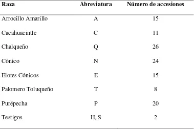 Cuadro 1.1 Razas y número de accesiones de maíz de Valles Altos de México caracterizados 
