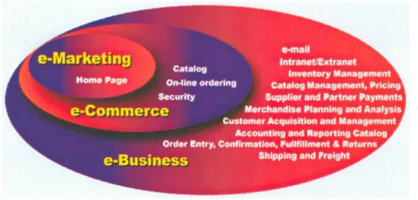Figura 2.5 (Figura tomada de http://www.e-businessexpress.com) Modelo de referencia en la adopción del E-business