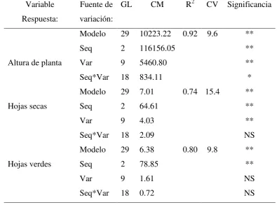 Figura 1. 17 Interacción de variedades*sequías en relación a calificación de marchitez incipiente evaluada a las 12: 00 pm el 02-mayo-2012