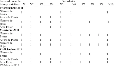 Figura 1. 28 Interacción de variedades*sequías en relación a los °brix. 16-noviembre-2012