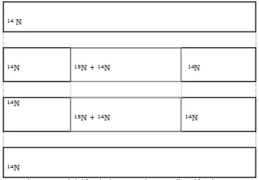 Figura 4. División de las parcelas y aplicación de 15N. 