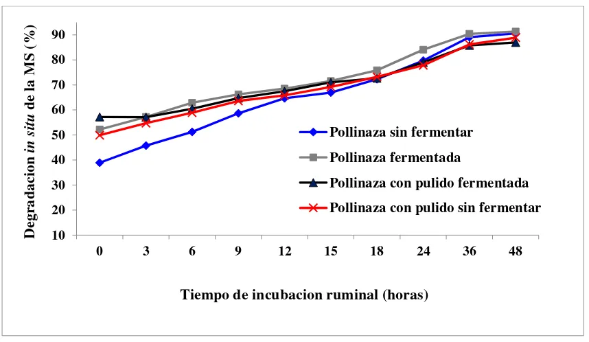 Cuadro 8. Degradación efectiva ruminal (%) de la materia seca de los alimentos fermentados y no fermentados a base de pollinaza con diferentes tasa de recambio ruminal 