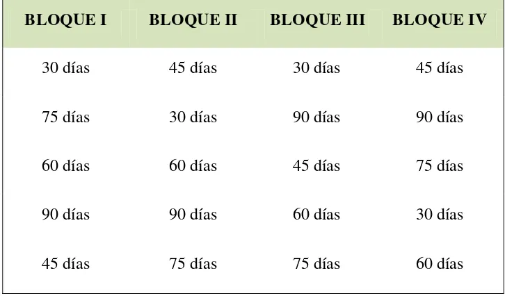 Cuadro 7. Distribución de los tratamientos en los bloques 