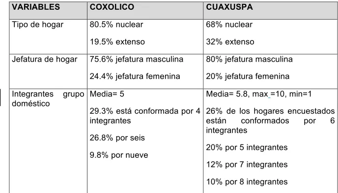 Cuadro 6. Características de los Grupos Domésticos 