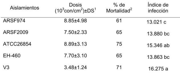 Cuadro 2.1 Mortalidad de adultos de Brevicoryne brassicae expuestos a  cinco aislamientos de Lecanicillium lecanii