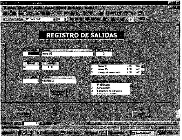 Figura 30 Forma de registro de salidas (frmSalidas)