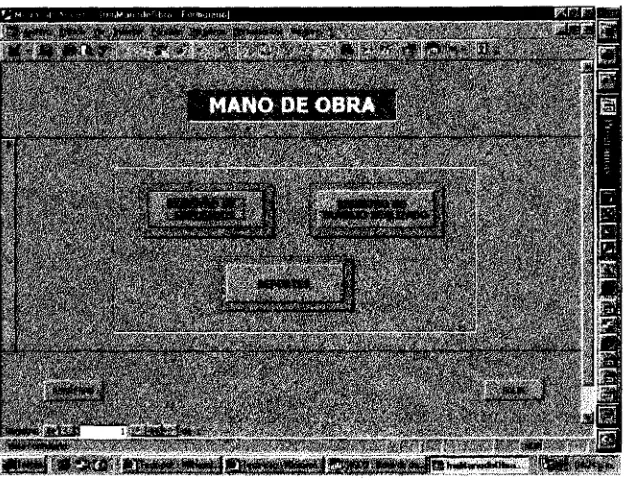 Figura 37 Forma de mano de obra (frmManodeObra)