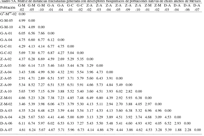 Cuadro 5A. Matriz de distancias Euclidianas generada con descriptores bioquímicos de poblaciones nativas de chiles anchos de México