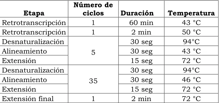 Cuadro 2: Condiciones del termociclador para la rt-PCR anidada de 