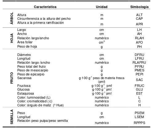 Cuadro 2. Características cuantitativas utilizadas en la caracterización morfológica de 12 selecciones de zapote mamey (Pouteria sapota Jacq