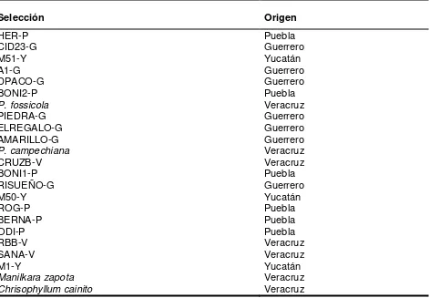Cuadro 4. Lista de materiales para aislamiento de ADN genómico de zapote mamey (Pouteria sapota Jacq