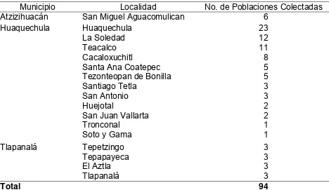 Cuadro  2. Relación de municipios, localidades por municipio y número de poblaciones de maíz colectadas por localidad
