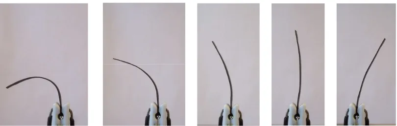 Fig. 1.2. Diagram showing the elements that compose an IPMC. The image representing the cross section area of a thin flexible membrane shows the presence of a base polymer with two separate metallic electrodes in the upper and lower surfaces of the same