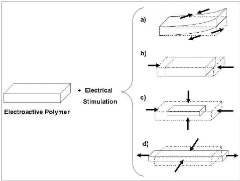 Fig. 2.1. Some examples of the possible deformations achieved by a stimulated electroactive polymeric material