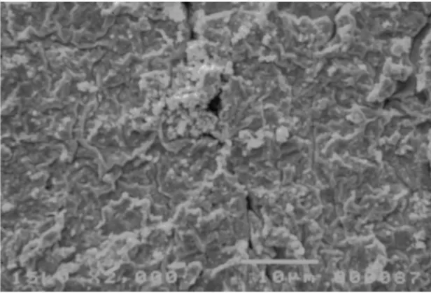 Fig. 3.4. Image of the surface of the IPMC as obtained by doing the platinum deposition withoutroughening the surface of the base polymer.