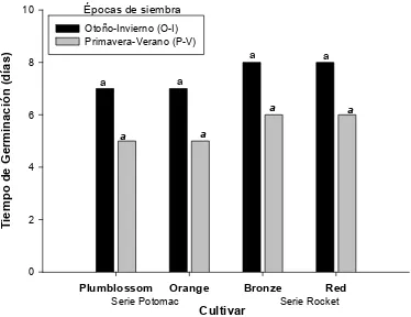 Figura 7. Germinación después del transplante de cuatro cultivares de Antirrhinum majus L