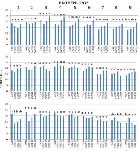 Figura 1. Longitud de entrenudos de tres poblaciones tropicales de maíz y sus progenies hasta S3 con distinto origen ecológico en Tamaulipas (C-3001 = zona centro, C-3012 = zona del ex IV Distrito y C-3033 = zona de la Huasteca); el entrenudo siete represe