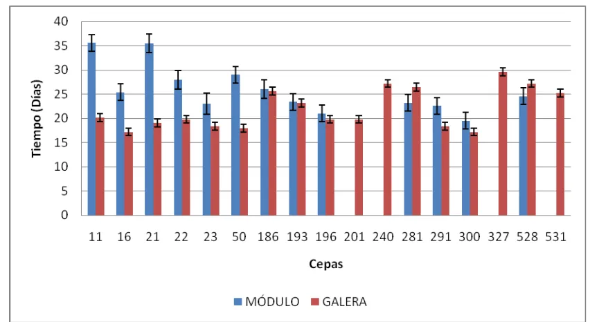 Figura 15. Comparación en días transcurridos a aparición de primordios durante los dos ciclos de cultivo