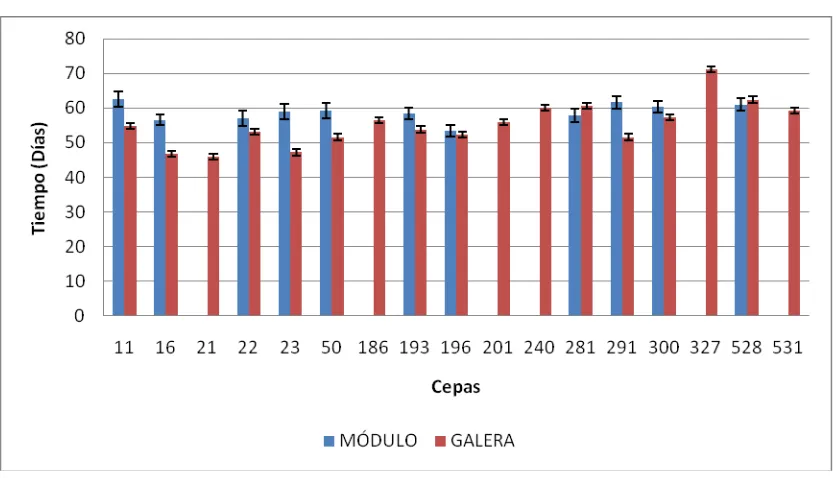 Figura 17. Comparación en días transcurridos a segunda cosecha durante los dos 