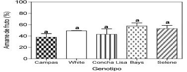 Figura 6. Porcentaje de amarre de diferentes genotipos de chirimoya polinizados 