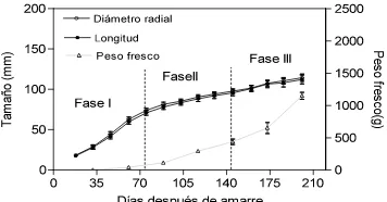 Figura 10. Crecimiento longitudinal, radial e incremento de peso fresco de frutos de 
