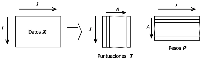 Figura 4. Análisis de componentes principales (PCA). 