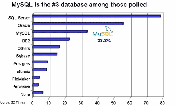 Figura 6 Uso de Bases de Datos [Fuente: (Relational, 2004)] 