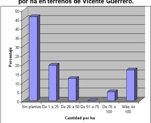 Figura 5.10. Árboles frutales y forestales en Vicente Guerrero. 