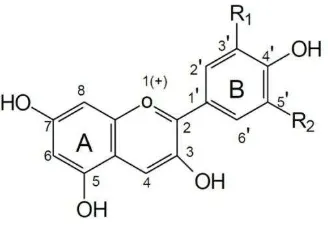 Figura 1. Estructura química de las antocianinas 