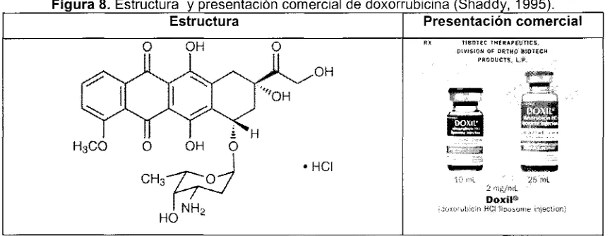 Figura 8. Estructura  y presentación comercial de doxorrubicina (Shaddy, 1995).