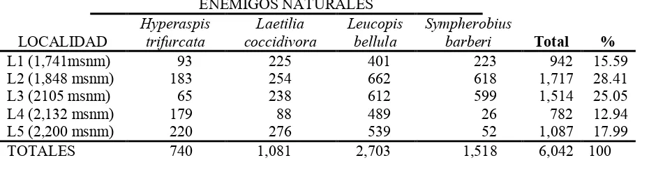 Cuadro  6.  Abundancia  de  enemigos  naturales  de  Dactylopius  opuntiae  entre  localidades  de 