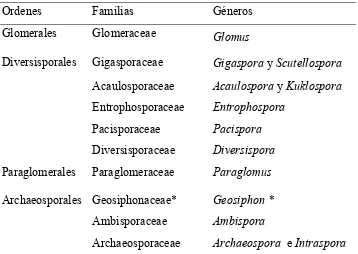 Cuadro 4.2. Clasificación actual de los hongos micorrízicos arbusculares  