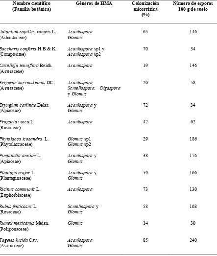 Cuadro 5.1. Géneros de hongos micorrízicos arbusculares (HMA), porcentajes de 