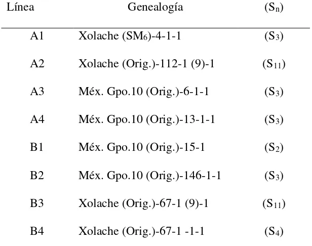 Cuadro III.1.8Genealogía de las ocho líneas progenitoras de las cruzas. 