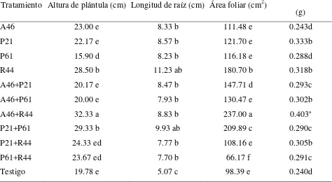 Cuadro 4.1. Efectos de la inoculación de cepas de rizobacterias promotoras de crecimiento 