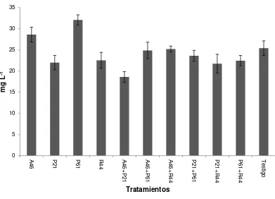 Figura 4.2. Efecto de la inoculación de cepas de rizobacterias promotoras de crecimiento vegetal 