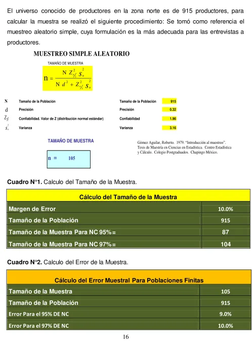 Cuadro N°2. Calculo del Error de la Muestra. 