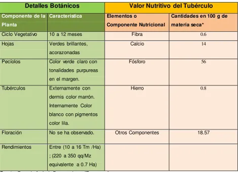 Cuadro 5. Morfología Botánica y Composición Nutritiva. 