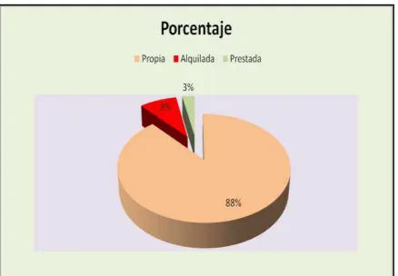 Cuadro N°12. Tipo de Tenencia de la Tierra. 