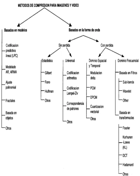 Figura 2.7: Clasificación de los métodos de compresión para imágenes y video