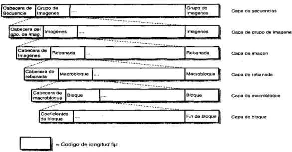 Figura 3.10: Capas definidas para el estándar MPEG y jerarquías de las mismas.