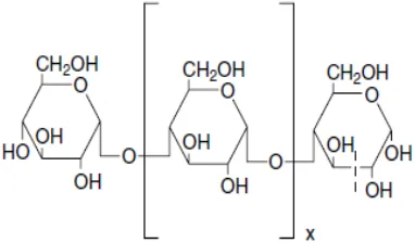 Figura 4.Estructura química de la amilosa (Bemiller y Whistler, 2009). 10 