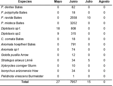 Cuadro 4. Registro de la abundancia mensual de las especies de Melolonthidae utilizando trampas de luz fluorescente negra en Antonio Escobedo, Jalisco, México